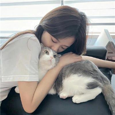 超完美杀手
